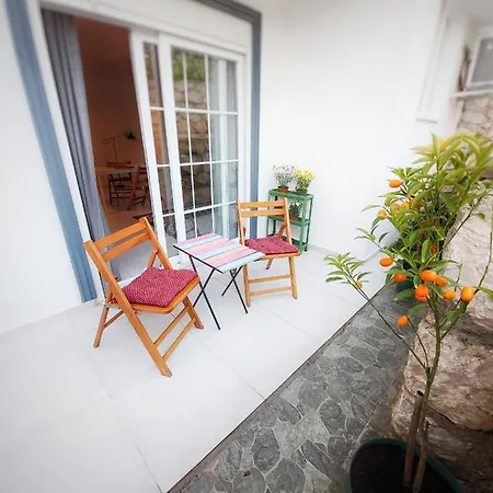 Apartament Nest